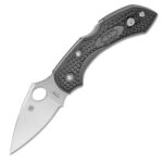 Spyderco Dragonfly2 C28PBK2