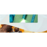 Olight i16 Olight Blue - Image 12