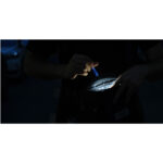 Olight I3E EOS Stellar Blue - Image 9