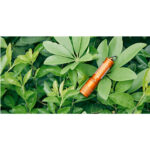 Olight I3E EOS Vibrant Orange - Image 8