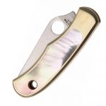 SPYDERCO BUG Nickel Silver Abalone C133AP - Image 4
