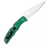Spyderco Endura 4 Green C10FPGR - Image 2