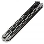 Steel Claw Reptilian Plasma-02 - Image 2